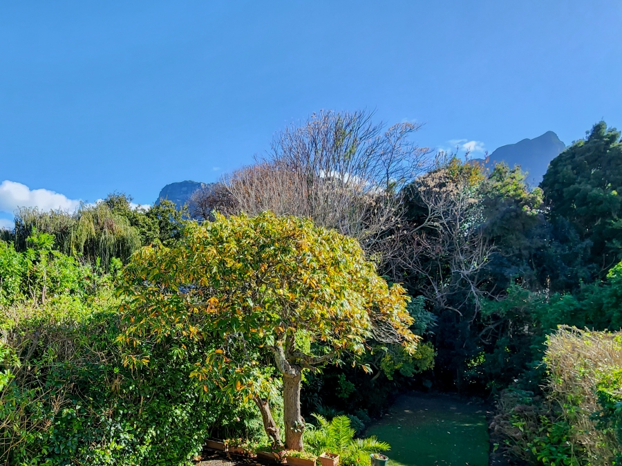 3 Bedroom Property for Sale in Newlands Western Cape